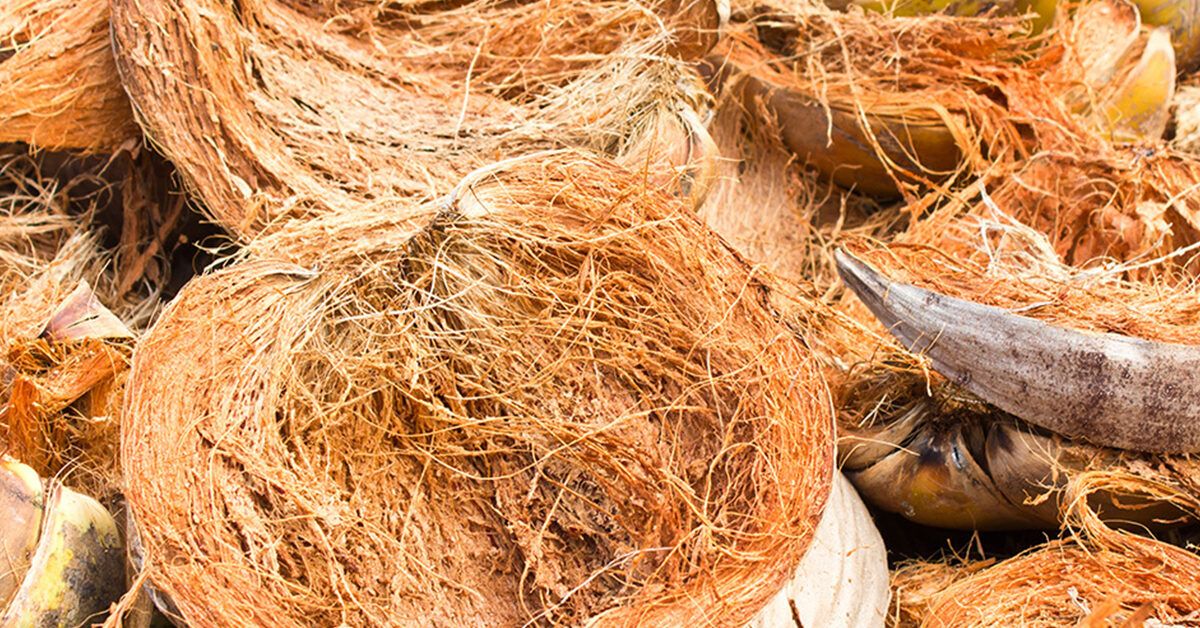 discover-the-advantages-of-coconut-fibres-in-a-natural-bed-h-sler-nest