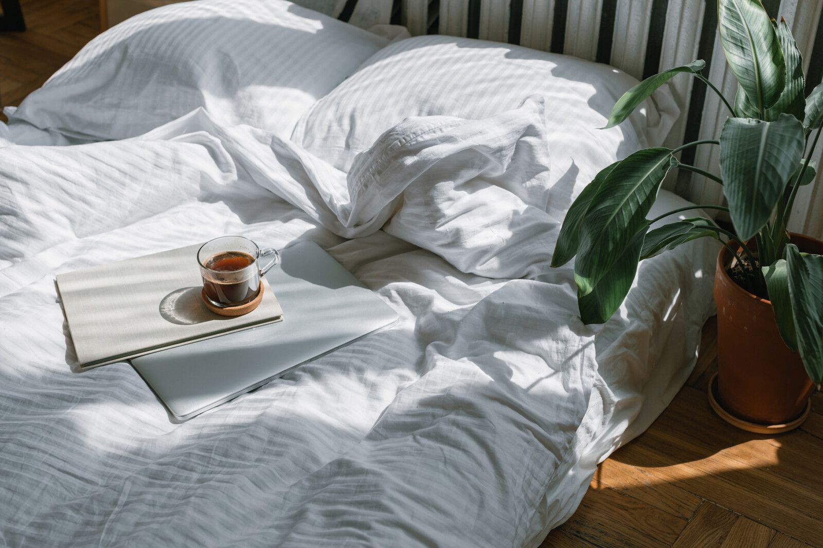 Mattresses that perfectly match our natural beds – Hüsler Nest